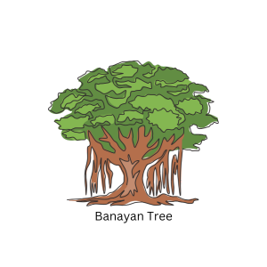 Banayan Tree