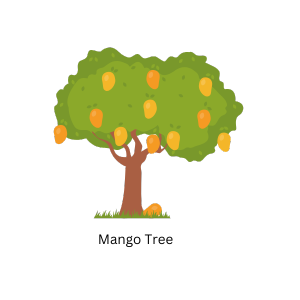 Mango Tree