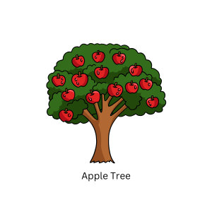 Apple Tree